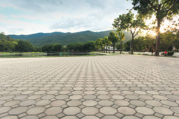 Reliable Parker, TX Driveway Pavers Solutions